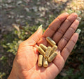 Herbal Supplements